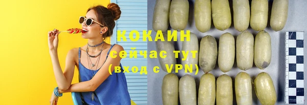 шишки Алзамай