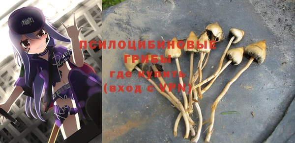 метадон Алексин