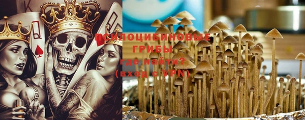 шишки Алзамай