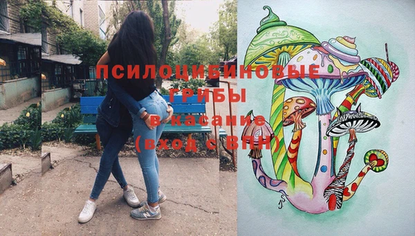 метадон Алексин