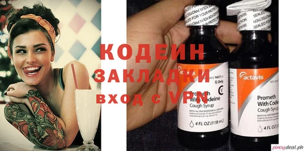 шишки Алзамай