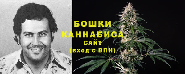 шишки Алзамай