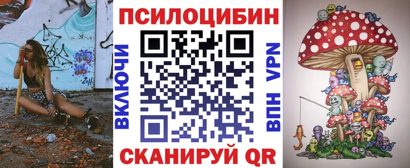 Псилоцибиновые грибы Cubensis  Старый Оскол 