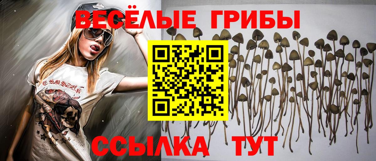 Старый Оскол  Псилоцибиновые грибы GOLDEN TEACHER  Вход с VPN 
