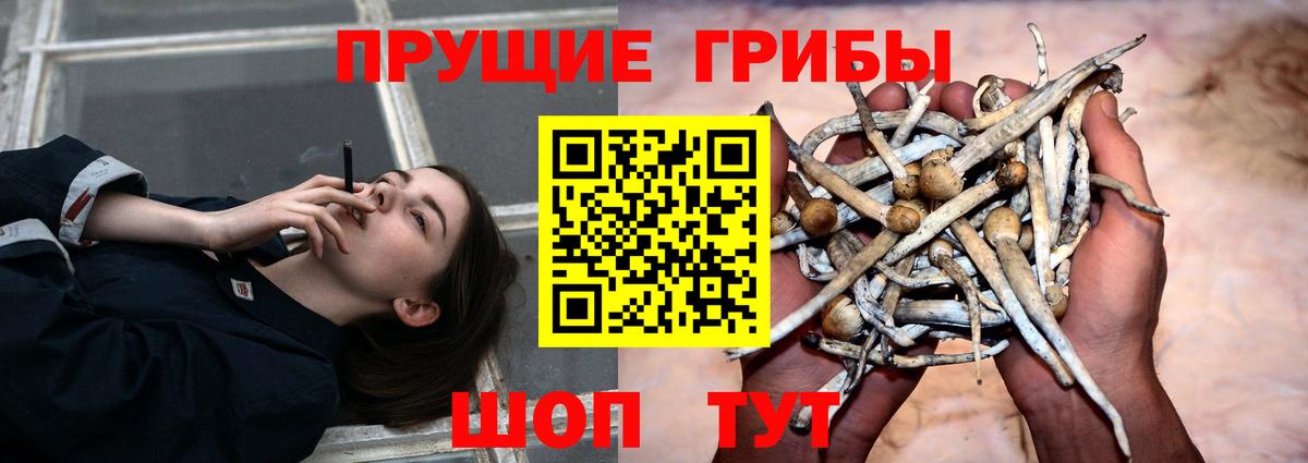 Псилоцибиновые грибы ЛСД Старый Оскол